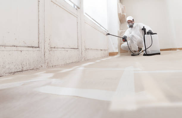 24/7 Emergency Attic Mold Remediation experts in Morristown, TN